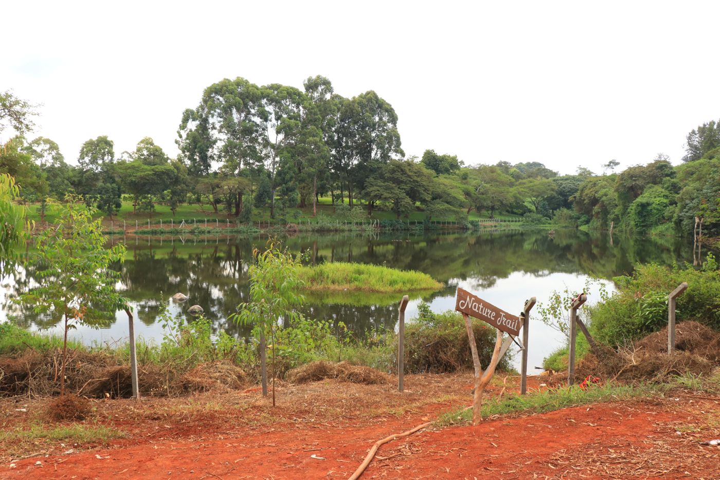 Dam 5