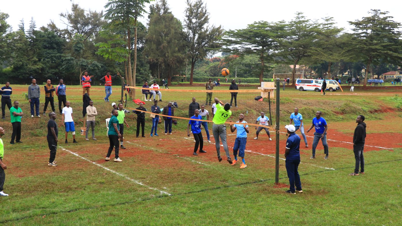Sports fields
